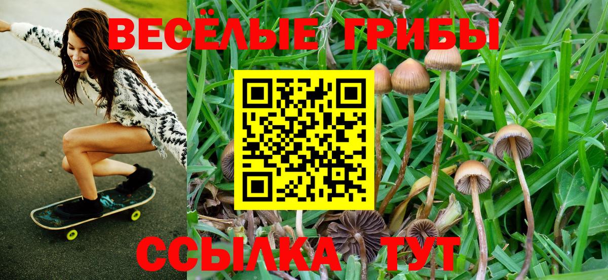 Псилоцибиновые грибы ЛСД Топки