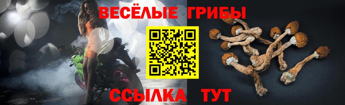 Галлюциногенные грибы ЛСД  Вход с VPN  Топки  Псилоцибиновые грибы прущие грибы 